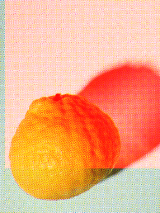 Ep Fragrances Bannerbox 6 MAX&Co.